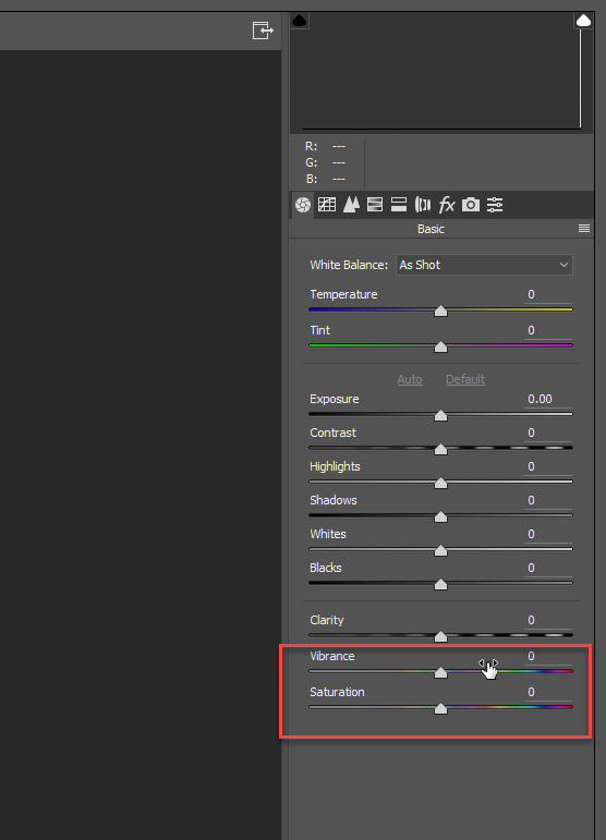 CAmera raw filters.png